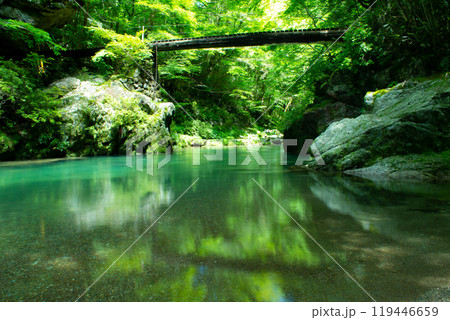 緑の綺麗な川 119446659