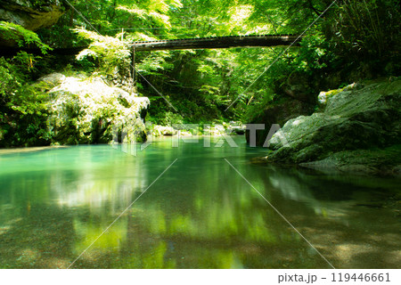 緑の綺麗な川 119446661