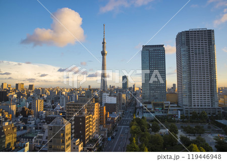 朝焼けに照らされる錦糸町から見たスカイツリー 119446948