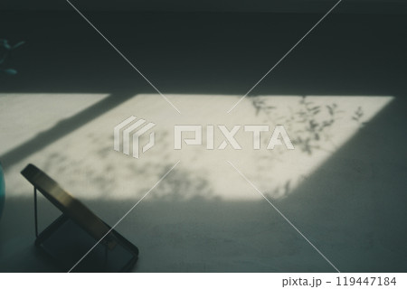 卓上鏡と床に映る窓からの日差しと植物の葉っぱの影 卓上鏡と床に映る窓からの日差しと植物の葉っぱの影 119447184