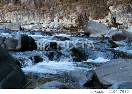 大自然の中の川 119447950