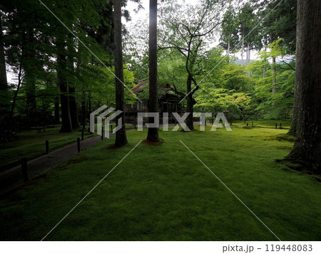 苔の生えた庭『和風イメージ』(京都) 苔の生えた庭『和風イメージ』(京都) 119448083