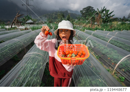 A girl happily holds a basket of strawberries in a green field A girl happily holds a basket of strawberries in a green field 119448677
