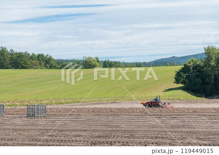 【富良野市 玉葱の収穫とトラクター】 【富良野市 玉葱の収穫とトラクター】 119449015