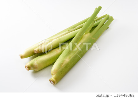 マコモダケ（真菰筍）イメージ 119449368