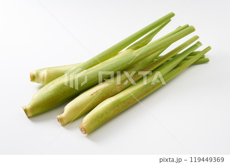 マコモダケ（真菰筍）イメージ 119449369