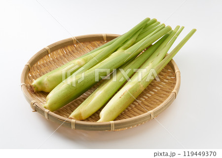 マコモダケ（真菰筍）イメージ 119449370