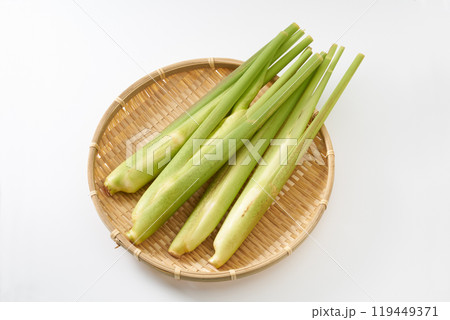 マコモダケ(真菰筍)イメージ マコモダケ(真菰筍)イメージ 119449371