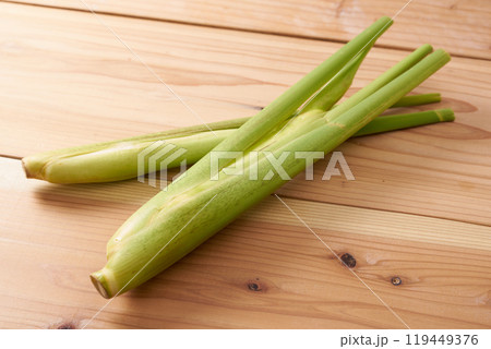 マコモダケ（真菰筍）イメージ 119449376