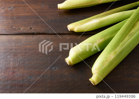 マコモダケ（真菰筍）イメージ 119449386