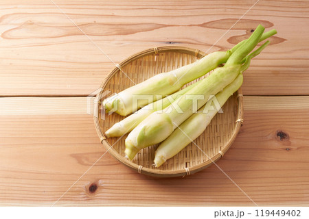 マコモダケ(真菰筍)イメージ マコモダケ(真菰筍)イメージ 119449402
