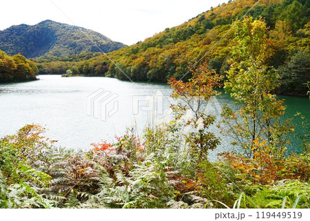 信州の秋　志賀高原サンバレー琵琶池湖畔紅葉の風景 119449519