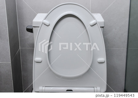 Close-Up of a White Toilets 119449543