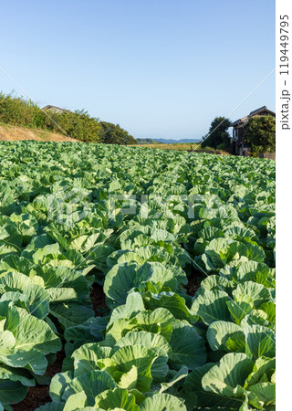 日本の岡山県瀬戸内市の前島のとても美しい風景 日本の岡山県瀬戸内市の前島のとても美しい風景 119449795