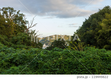 日本の岡山県瀬戸内市の前島のとても美しい風景 日本の岡山県瀬戸内市の前島のとても美しい風景 119449822