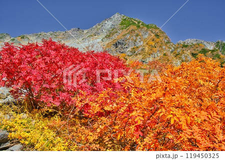 紅葉の涸沢からの北穂高 119450325