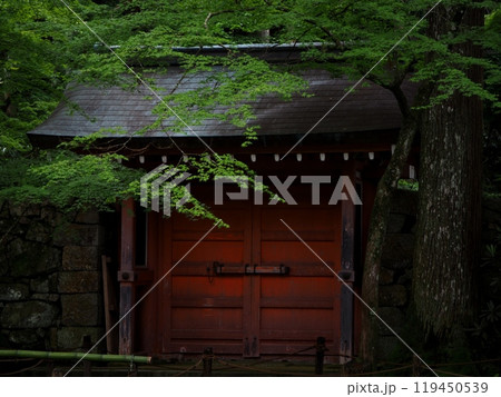 緑に覆われた鐘楼『和風イメージ』(京都) 119450539