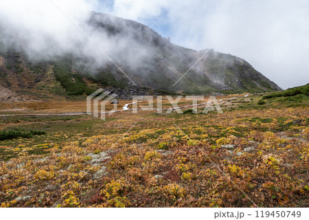 紅葉する畳平の木道　乗鞍岳 119450749