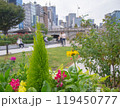 公園の植木 119450777