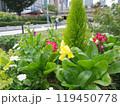 公園の植木 119450778