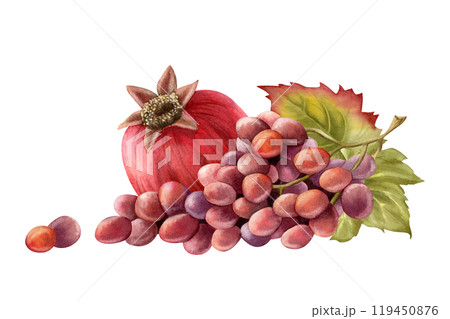 Black grapes branch with green leaves and pomegranate watercolor isolated illustration. Realistic ripe fruit bunch for fall October harvest and winery designs. Dark purple juicy berries clipart 119450876