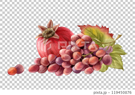 Black grapes branch with green leaves and pomegranate watercolor isolated illustration. Realistic ripe fruit bunch for fall October harvest and winery designs. Dark purple juicy berries clipart 119450876