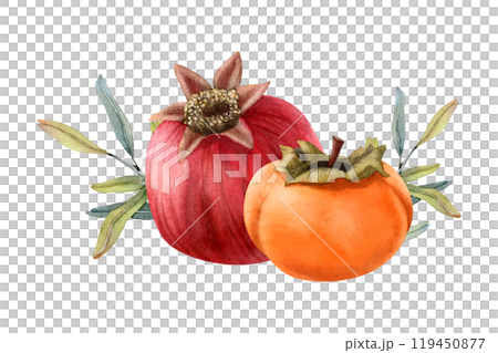 Pomegranate, persimmon with green leaves watercolor isolated illustration. Whole fruit botanical clipart for fall designs. Hand drawn detailed and realistic fall sketch in orange and red colors 119450877