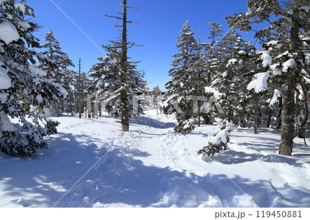 厳冬期の北横岳の風景 ( 雨池峠 ) 119450881