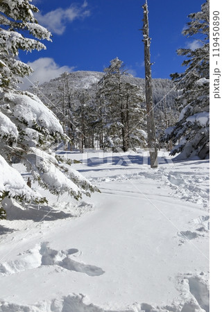 厳冬期の北横岳の風景 ( 雨池峠 ) 119450890
