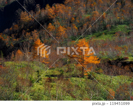 【山の風景】長野県＆岐阜県・焼岳・紅葉 119451099