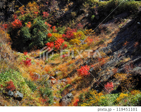 【山の風景】長野県＆岐阜県・焼岳・紅葉 119451101