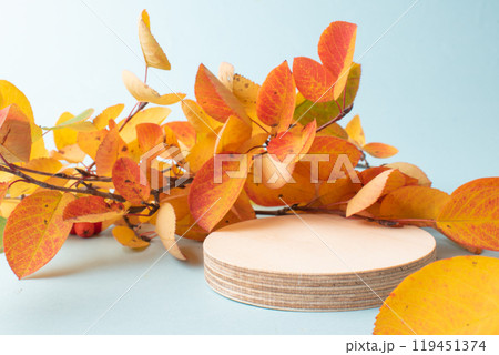 Autumn podium made of natural wood and autumn orange leaves on a blue background. Showcase, product presentation. A minimalistic branding scene. Autumn podium made of natural wood and autumn orange leaves on a blue background. Showcase, product presentation. A minimalistic branding scene. 119451374