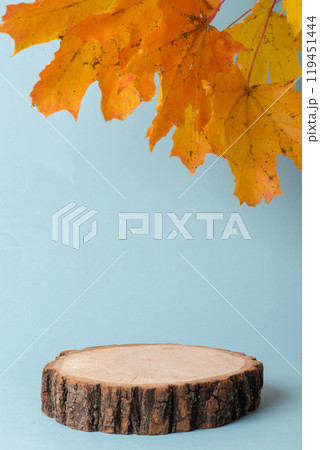 Autumn podium made of natural wood and autumn maple leaves on a light blue background. Showcase 119451444