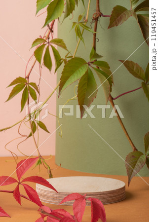 The podium is made of natural wood and decorated with green and red ivy leaves. Showcase, product presentation. A minimalistic branding scene. 119451457