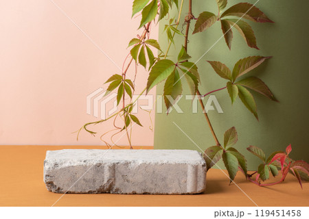 Autumn podium made of stone and green leaves on a green background. 119451458