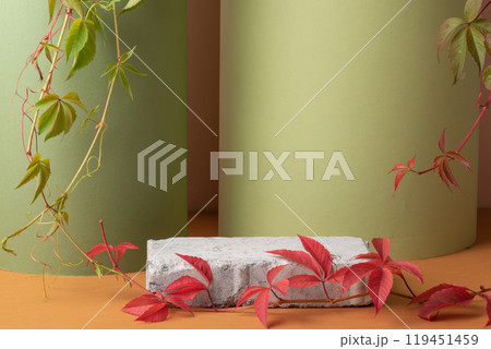 Autumn podium made of stone and green leaves on a green background. 119451459