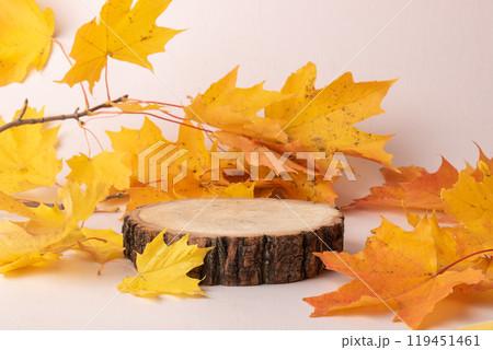 Autumn podium made of natural wood and autumn maple leaves on a beige background. 119451461