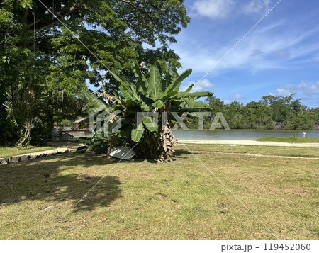 バヌアツの首都・ポートビラ 119452060