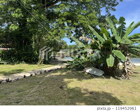 バヌアツの首都・ポートビラ 119452061