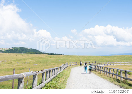 【長野県】青空の美ヶ原高原をハイキング、登山をする人の後ろ姿 119452207