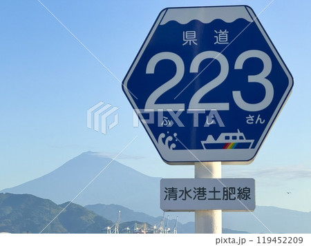 ルート223 清水港土肥線 119452209