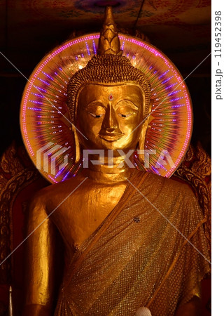 ワットルアン 119452398