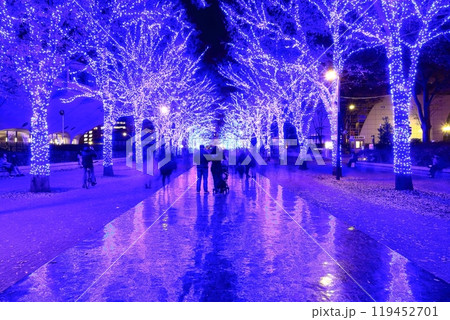【東京都】渋谷の青の洞窟イルミネーション（代々木公園ケヤキ並木） 119452701