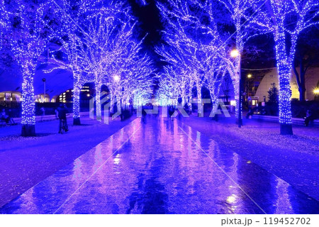 【東京都】渋谷の青の洞窟イルミネーション（代々木公園ケヤキ並木） 119452702