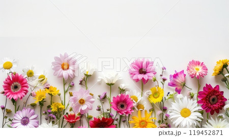 A vibrant row of various colorful flowers displayed on a white background. AI-generated content. 119452871