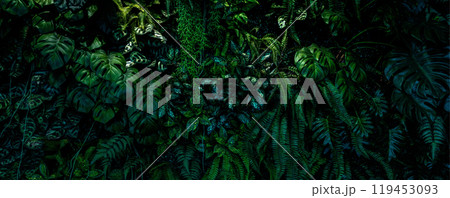 Herb wall, plant wall, natural green wallpaper and background. nature wall. Nature background of green forest Herb wall, plant wall, natural green wallpaper and background. nature wall. Nature background of green forest 119453093