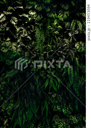 Herb wall, plant wall, natural green wallpaper and background. nature wall. Nature background of green forest Herb wall, plant wall, natural green wallpaper and background. nature wall. Nature background of green forest 119453094