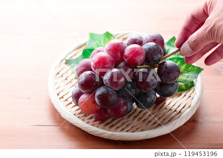 秋の味覚 ピオーネ （ 木目背景 ） 119453196