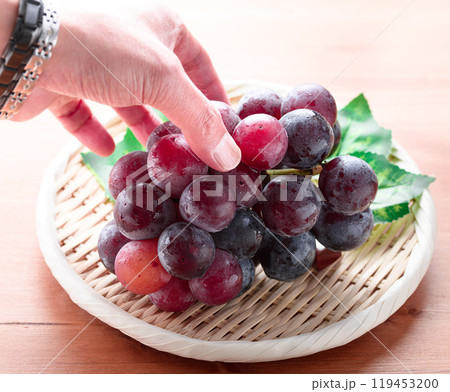 秋の味覚 ピオーネ （ 木目背景 ） 119453200