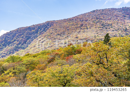 宮城蔵王の紅葉　えぼしスキー場から見た後烏帽子岳方面の紅葉　宮城県蔵王町 119453265